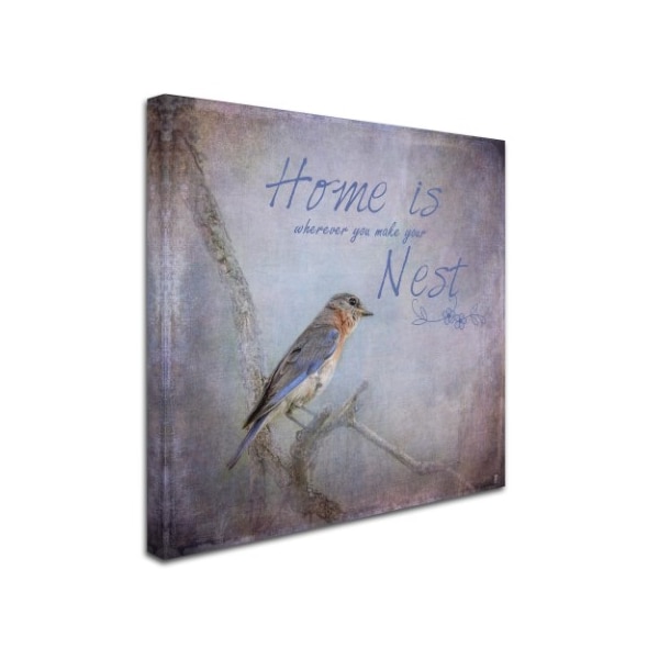 Jai Johnson 'Home Is Wherever You Make Your Nest' Canvas Art,18x18